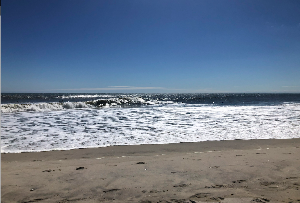 What Gives the Ocean Its Wonderful Smell? A Vile Chemical American